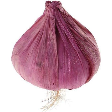 Ail artificiel, faux légume réaliste, accessoire de décoration (1/5)