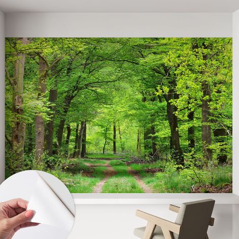 Selbstklebend Tapete - abwaschbar - Raumgestaltung Schlafzimmer Wohnzimmer Tapete Waldweg 152x104 cm (1/5)