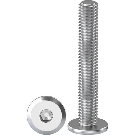 10 Pièces Vis à Tête Plate Avec Six Pans Creux M8 X 60 mm Boulons à Tête Plate Hexagonale en Acier Inoxydable A2 V2A Vis à Tête Cylindrique Hexagonale à Bride Boulons Allen (1/5)