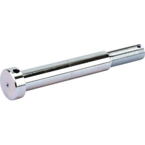 Tornillo AGRIA AGW69173