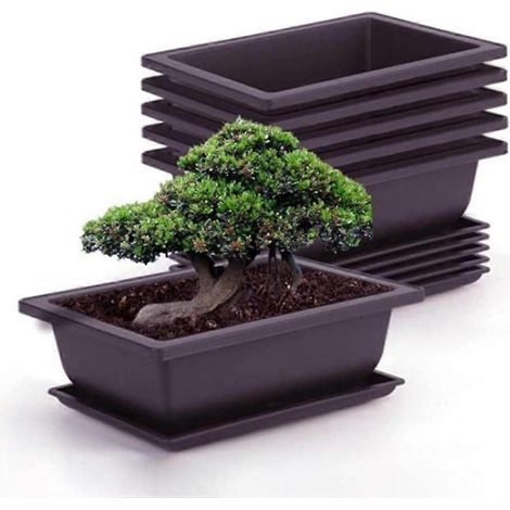 Lot de 6 pots de bonsaï avec plateau, pots carrés en plastique pour plantes grasses et succulentes, pour jardin et salon (1/5)