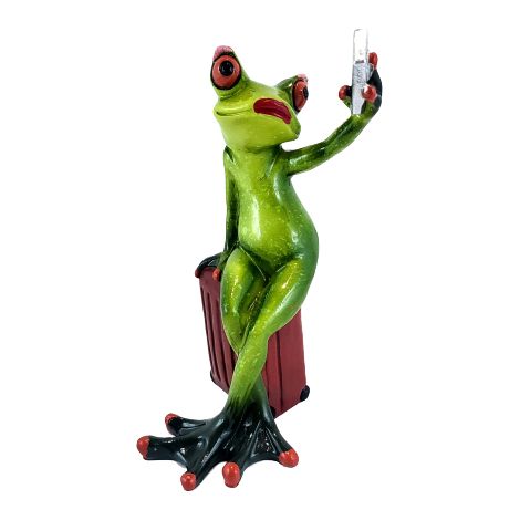 Selfie-Froschfigur mit Reisekoffer, 15,5 cm (1/5)