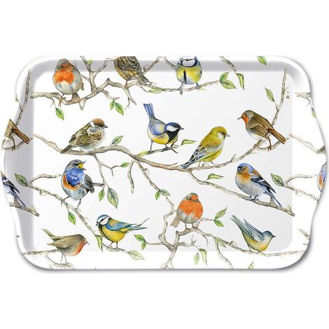 Réunion d'oiseaux - Mini plateau vide poche rectangulaire (1/2)