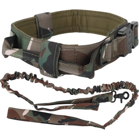 Ensemble collier et laisse pour chien. Collier en nylon épais, rembourré et réglable, avec boucle en métal, idéal pour le dressage. (1/5)