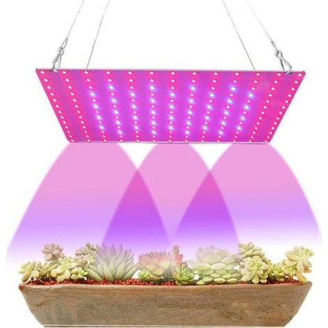 Lampe de croissance LED 169 pour plantes d'intérieur-AquaForge
