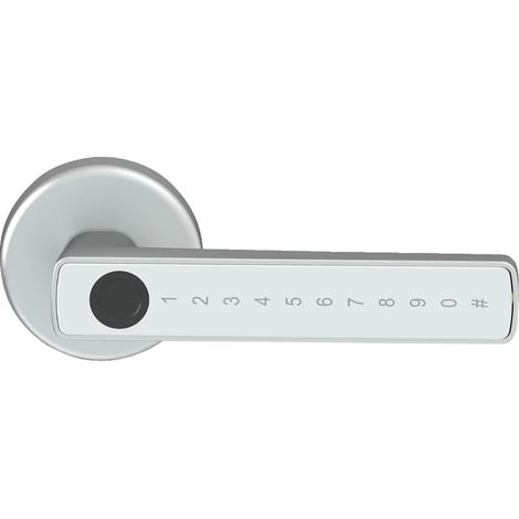 Cerradura inteligente con lector de huellas dactilares, desbloqueo multimétodo, acceso remoto, M5 Plata (1/2)