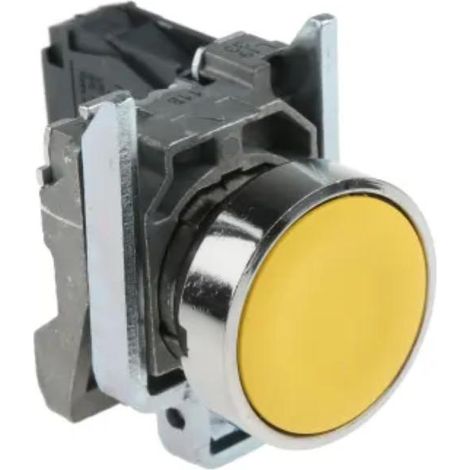 Pulsante, N/A, 6 A c.a., 550 mA c.c, max 600V c.a., montaggio su pannello, Instabile, IP69K