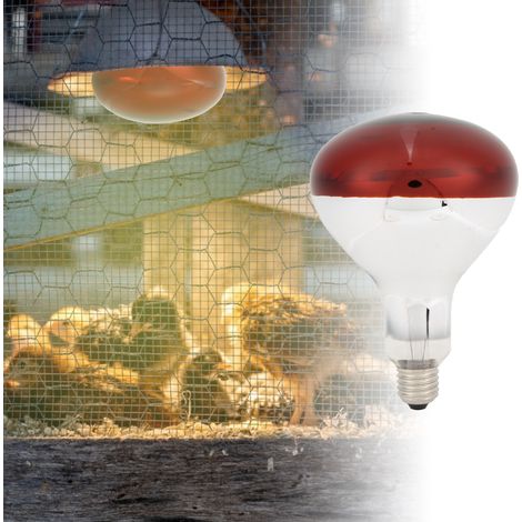 Filiyano – Lampe chauffante rouge à usage agricole pour la luminothérapie, en verre antidéflagrant, pour poussins, avec ampoules incandescentes et (1/5)