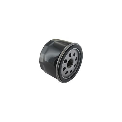 Filtre à Huile Adaptable Pour Moteurs Briggs & Stratton: 21r807-0062-b5, 21r877-0015-b1, 31r507-0002-b1, 31r507-0011-b5, 31r577-