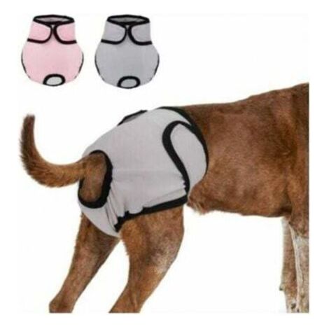 2 Pièces Couche Réutilisable pour Chien, Culotte Hygiénique Lavable 37-55cm - Super Absorbant pour Chiots (1/4)
