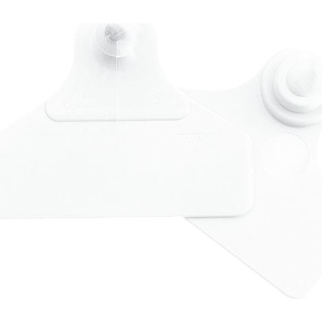 Boucles de marquage Ukalflex large+large nue blanc X20 (1/3)