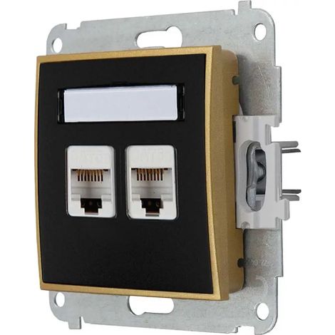 Prise Internet 2x sans cadre Karlik mini couleur noir mat/or (1/3)