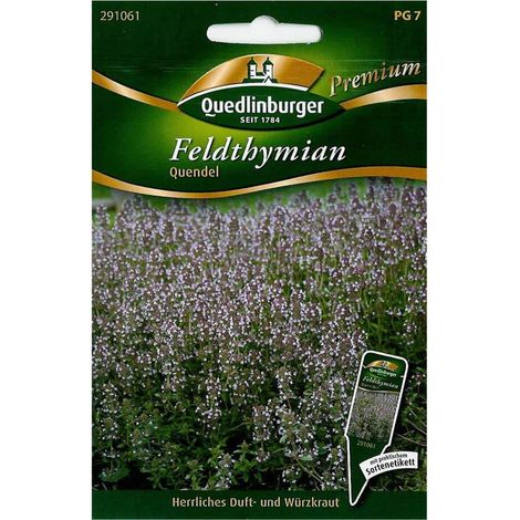 Quedlinburger Feldthymian Quendel - Kräutersamen (1/2)