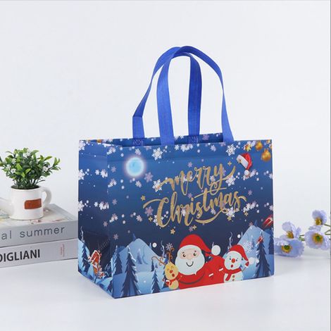 Sac Cadeau De Noël - Tissu Non Tissé Enduit - Pliable Et Réutilisable - 32,5 X 25 X 17 Cm - Lot De 5 (1/5)
