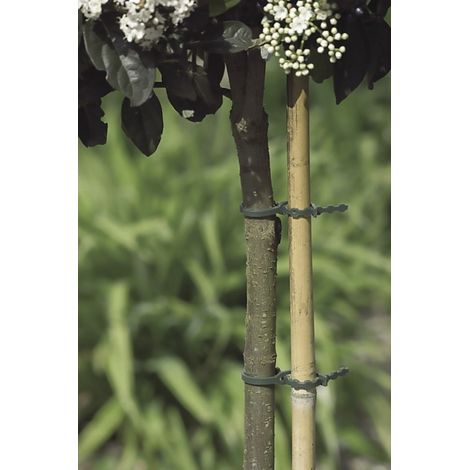 NORTENE Lot de 40 liens pour arbres NORTENE, 0 g/m², 0.15 m (1/5)
