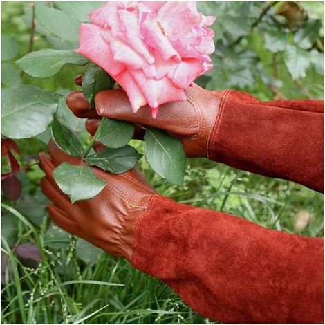 Dornenschutzhandschuhe – Gartenhandschuhe (Paar) – Lederschutz – Gartenhandschuhe für Dornen und Brombeeren – Braun – XL (1/5)