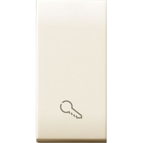 Tasto con simbolo della chiave illuminabile 1 modulo Ave Class 449TKP