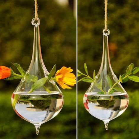 Terrarium - Verre Borosilicate - Forme Larme - Suspension Intérieure - 16 cm x 8 cm (1/5)