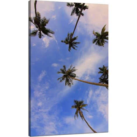Leinwanddruck Natur Kokospalmen 70x120 cm