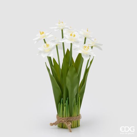 EDG Mazzo Narciso Bianco 9 Fiori Con Foglie H 41 (1/4)