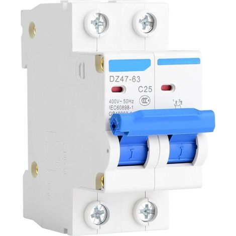 400V AC Disjoncteur Miniature DZ47-63 Commutateur Pneumatique Protection Contre les Fuites AC 2P 25A
