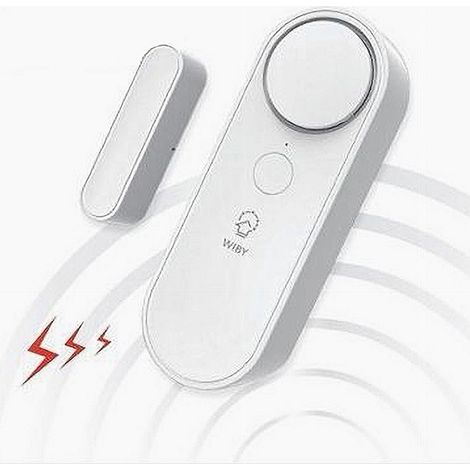 TrAdE Shop Traesio - Sensore Wireless Wifi Per Porta Finestra Con Sirena Audio Alexa Google Home Zx-d41 - (1/5)