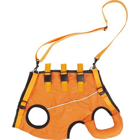 1 Ceinture d'assistance pour chien âgé, soutien pattes arrière, aide marche difficile, accessoire mobilité animale (1/5)