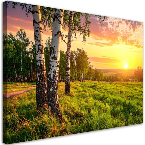 Tableau déco Bouleaux arbres coucher de soleil 90x60 (1/4)