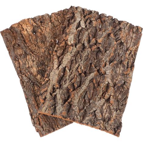 Lot de 2 parois arrière en écorce de liège pour terrarium 30 x 20 cm – Aspect écorce d'arbre naturelle – Surface d'escalade idéale pour les reptiles tels que les gecko, les tagames barbus et (1/5)