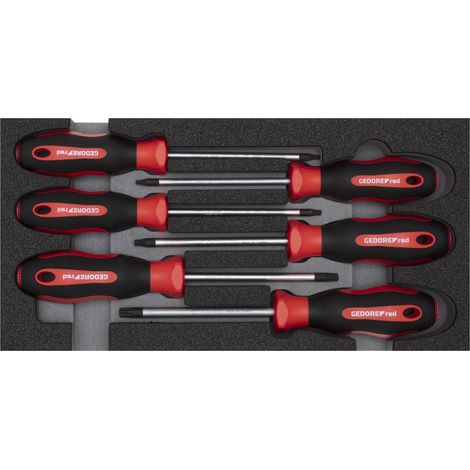 GEDORE RED 3301714 - Vis dr.set TX 2/6 CT module 6 pcs. , R22150015 (1/4)