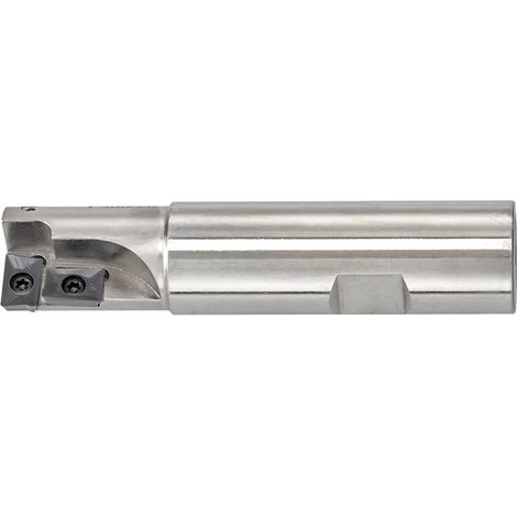 Fresa de insercion de 20 mm Fervi F306/20