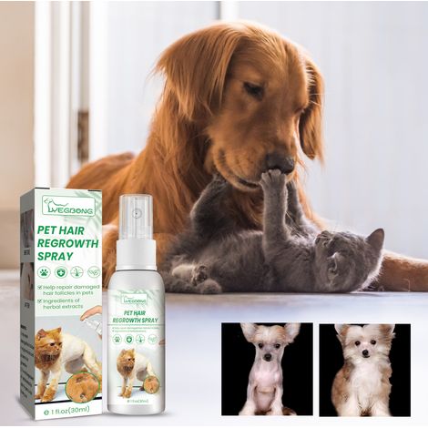 Soin capillaire pour chats et chiens favorisant la pousse du pelage, revitalisant et réparateur des follicules pileux abîmés – 30 ml (1/5)