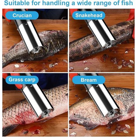 Détartreur de Poisson électrique, 125W Batterie Nettoyeur d'écailles de Poisson 7500r/min détartrant pour Poisson Voiture Rechargeable Outils de détartreur de Poisson (1/5)