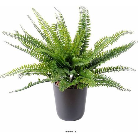 Fougère artificielle en piquet pour extérieur D 55 cm H 40 cm (1/3)