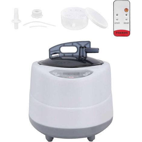 Générateur de vapeur portable grande capacité pour sauna et spa (2 L, prise UE)