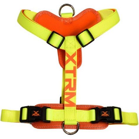ARNES X-TRM Cronos Neon Flash Limon 20mm x 46-75 cm