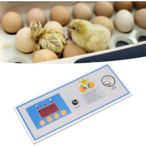 Régulateur d'Incubation Contrôleur Digital Automatique de Température & Humidité pour Oeufs 30W DC12V (1/5)
