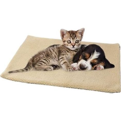 Coussin Auto-Chauffant pour Chat & Chien, Couverture pour Animaux Domestiques, Couverture Thermique Lavable, Couverture Chauffante pour Chats Chiens 60 x 45 cm, Couleur Kaki (1/5)