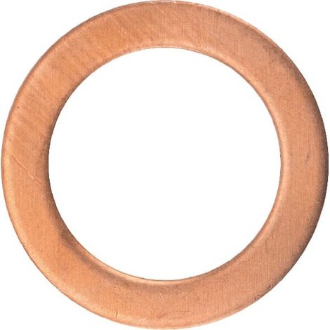 Anello per boccola a pressare LOMBARDINI 4760015