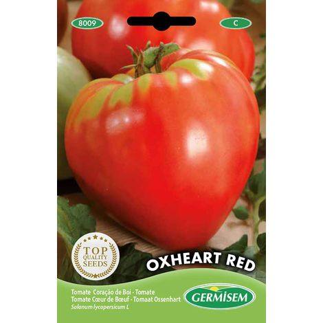 graines Tomate Cœur de Bœuf