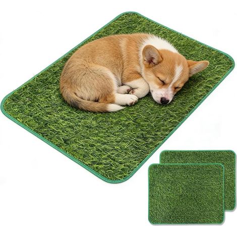 Lot de 2 tapis en gazon artificiel pour chien - 58,5 x 46 cm - Lavable - Pour chiots Évacuation rapide de l'eau, facile à nettoyer, convient pour l'appartement et le balcon pour l'éducation des toile (1/5)