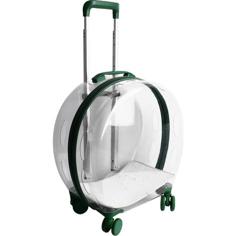 Cage de transport pour animaux de compagnie sur roulettes, transparente, anti-collision, en métal et polycarbonate, pour le transport de chats (1/5)