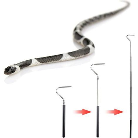 RisingFF Lot de 2 hameons extensibles en acier inoxydable pour serpents, rétractables, pour attraper et manipuler les reptiles (1/4)