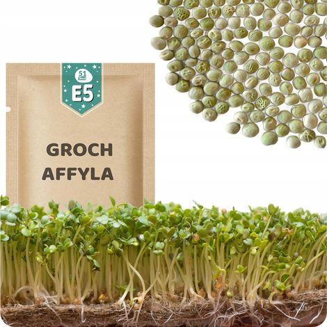 51Seed E05 SEMI DI GERMOGLI - PISELLI DOLCI AFFYLA 50G