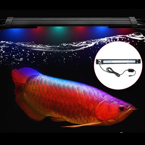 Lampe LED réglable et colorée pour aquarium, compatible avec application mobile. Support pour aquarium. (1/5)