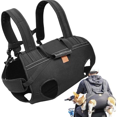 Harnais pour Chien Senior - Sangle Adjustable pour (1/5)