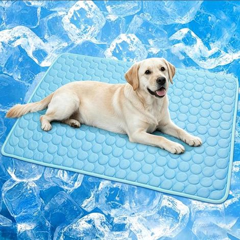 Alfombrilla refrescante para perros - Alfombrilla autoenfriadora para mascotas - Alfombrilla refrescante lavable de seda helada, apta para gatos, perros, perreras, jaulas y cestas - 100 x 70 cm - Azul (1/5)