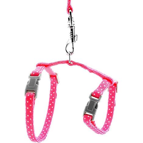 Ensemble harnais et laisse pour chat pour animaux de compagnie rose- (1/3)