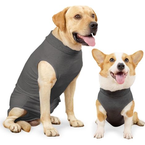 Body Chien Post operatoire Femelle Combinaison sterilisation Body pour Chien Castration Male t (1/5)