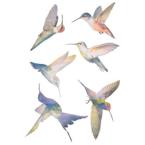 6 grands autocollants anti-collision pour vitres en forme d'oiseau (1/5)
